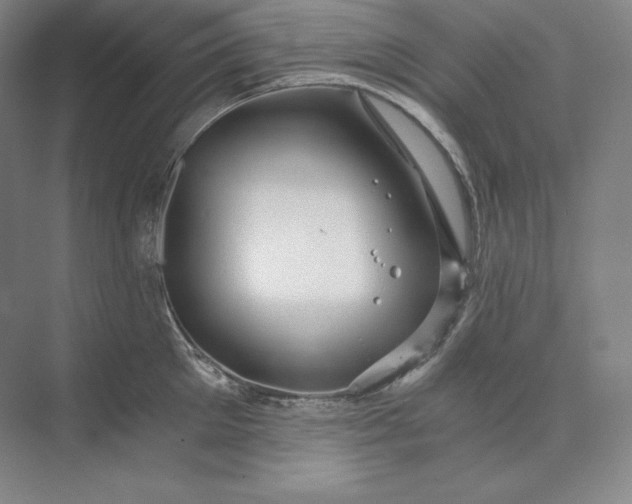 X0000074000905200609061020