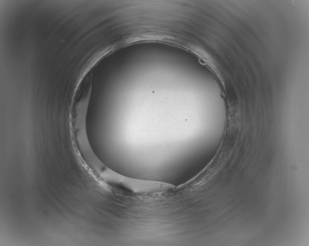 X0000074000906200609061020