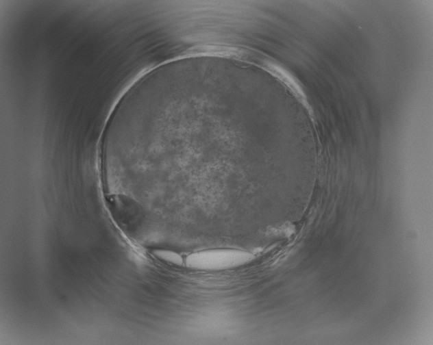 X0000074000907200609061020