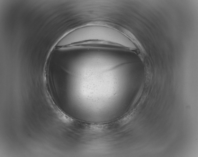 X0000074000908200609061020