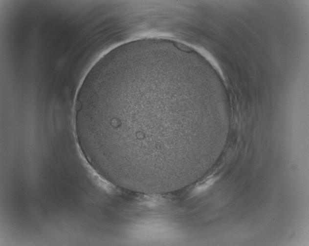 X0000074000911200609061020