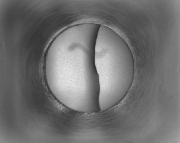 X0000074000912200609061020