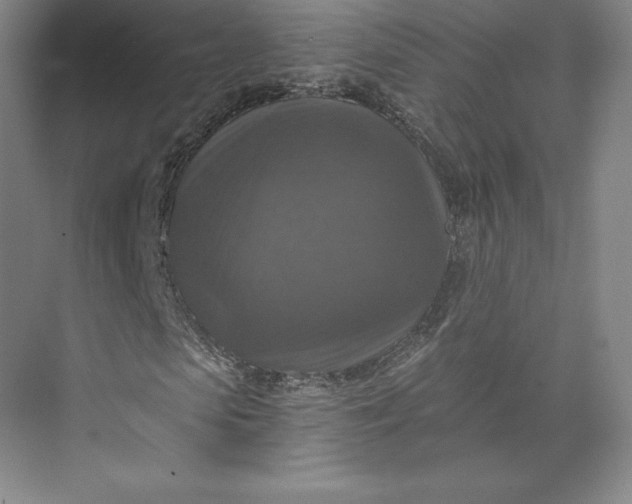 X0000074000913200609061019