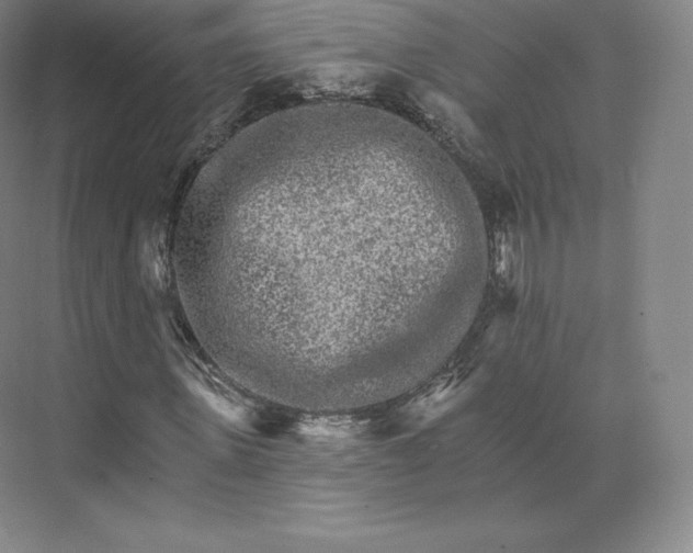 X0000074000915200609061019