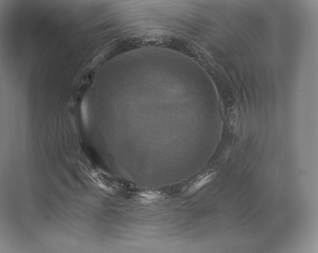 X0000074000916200609061019