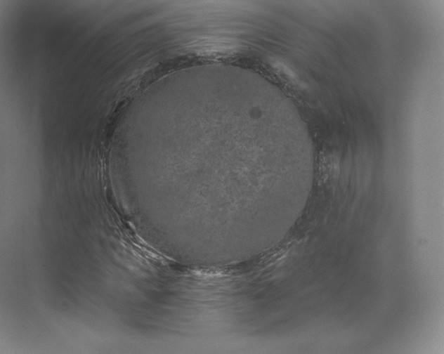 X0000074000917200609061019