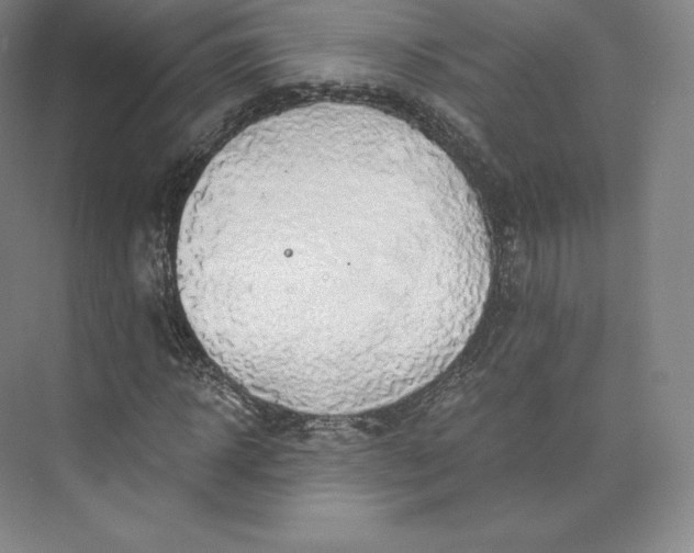 X0000074000918200609061019