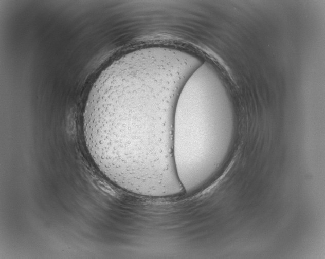 X0000074000921200609061019