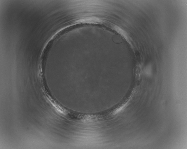 X0000074000923200609061020