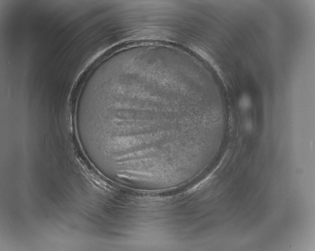 X0000074000925200609061020