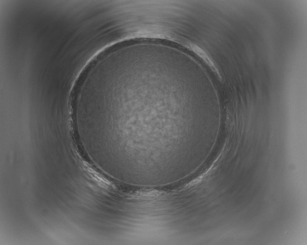 X0000074000926200609061020