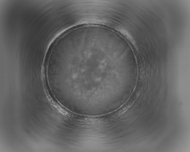 X0000074000928200609061020