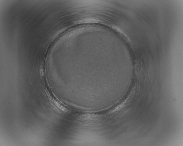 X0000074000929200609061020