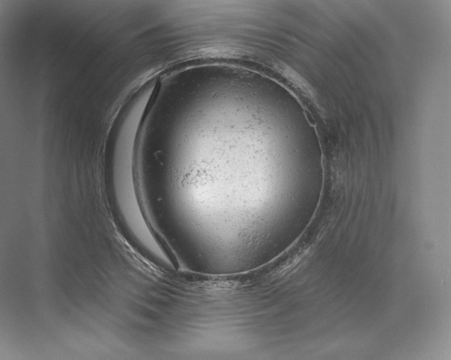 X0000074000930200609061020