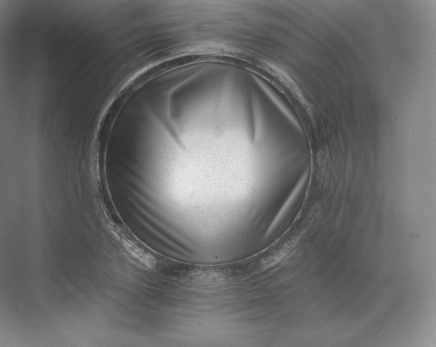 X0000074000931200609061020