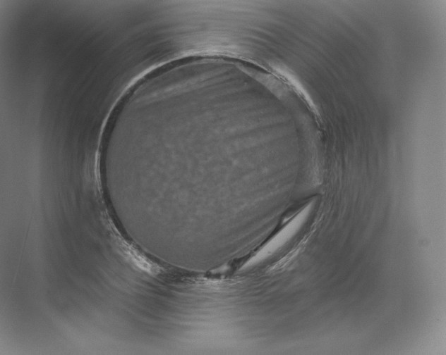 X0000074000932200609061020