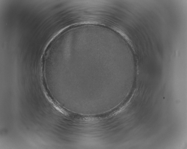 X0000074000933200609061020