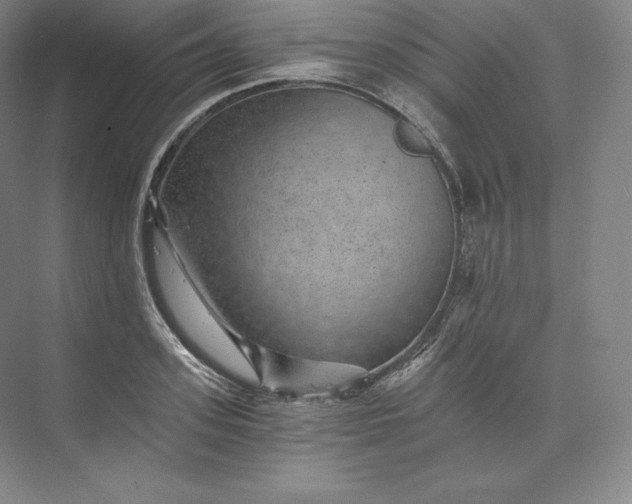 X0000074000939200609061020