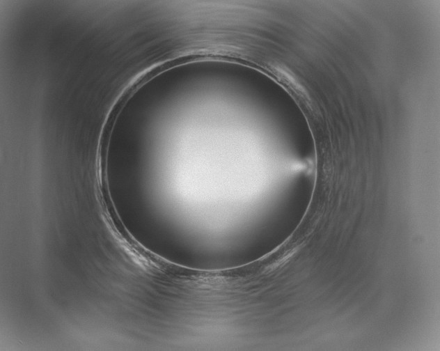 X0000074000940200609061020