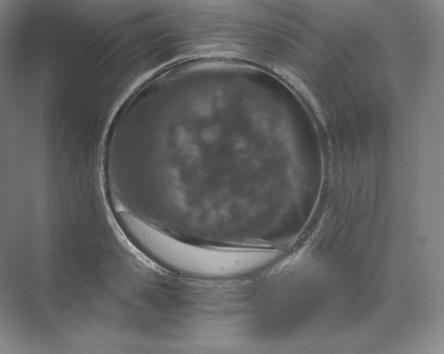 X0000074000941200609061020