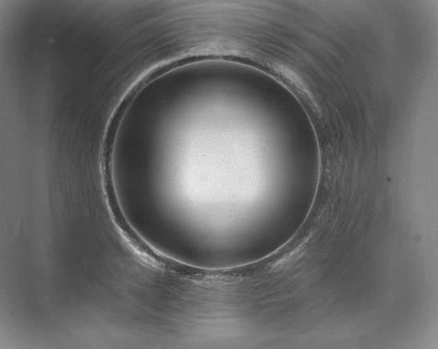 X0000074000942200609061020