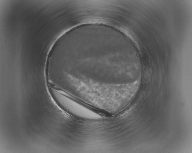 X0000074000943200609061020