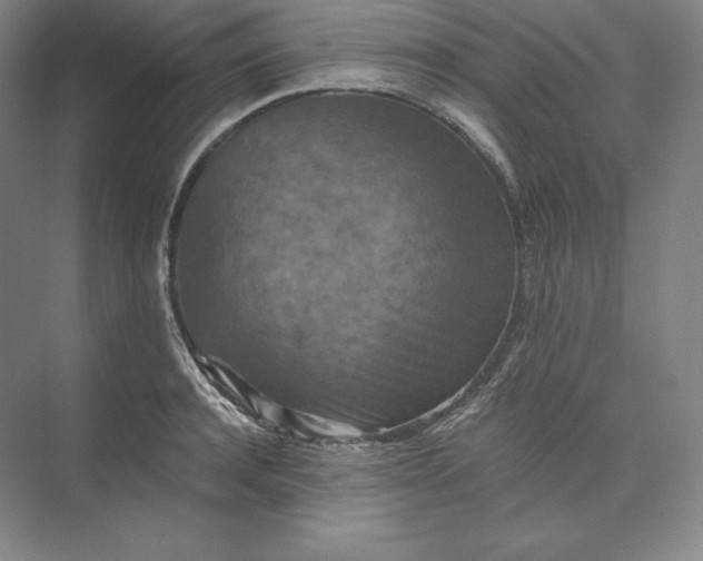 X0000074000944200609061020