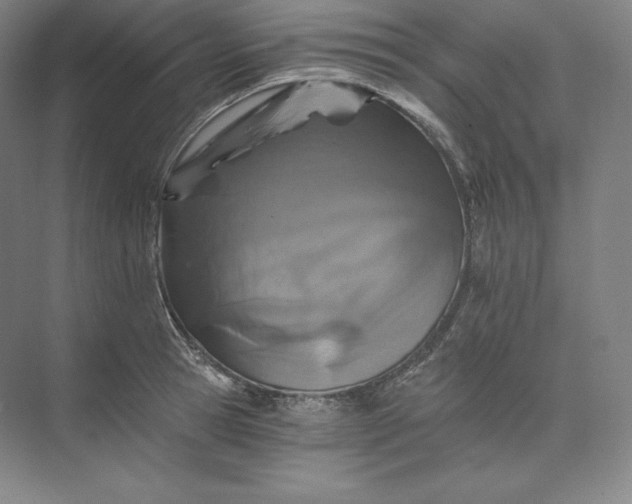 X0000074000945200609061020