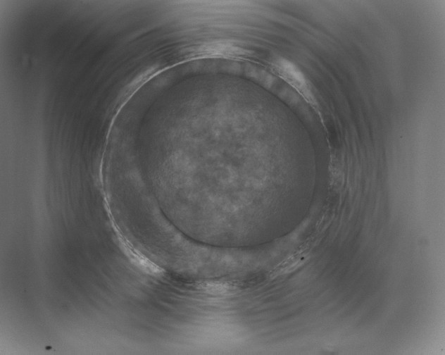 X0000074000946200609061020