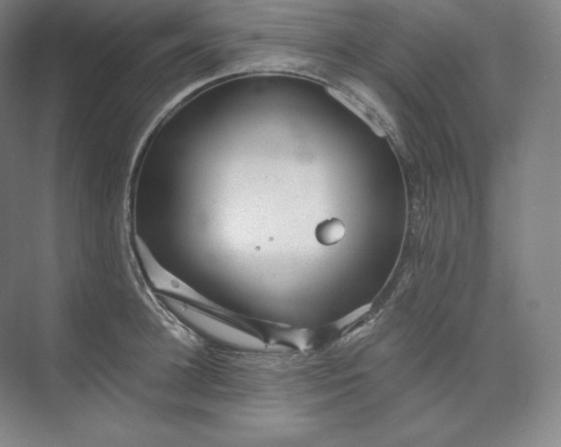 X0000074000948200609061020