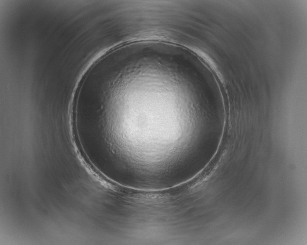 X0000074000949200609061020