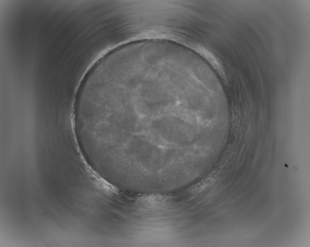 X0000074000950200609061020