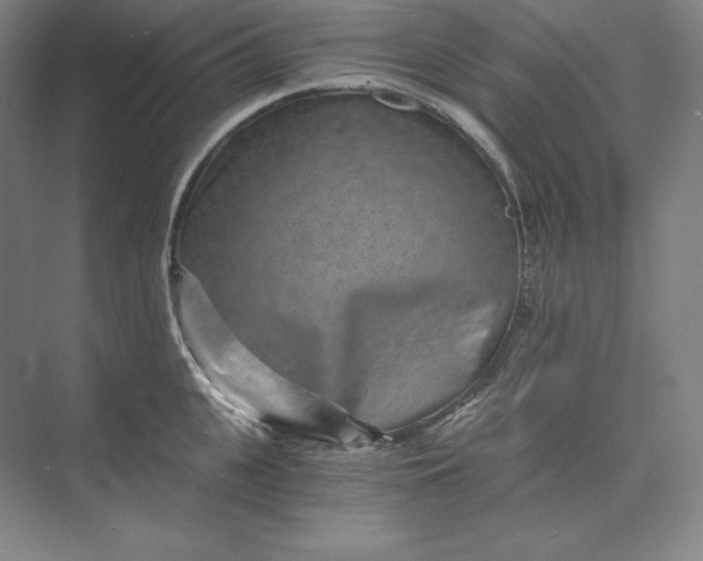 X0000074000951200609061020