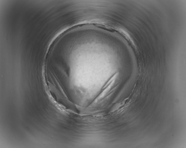 X0000074000952200609061020