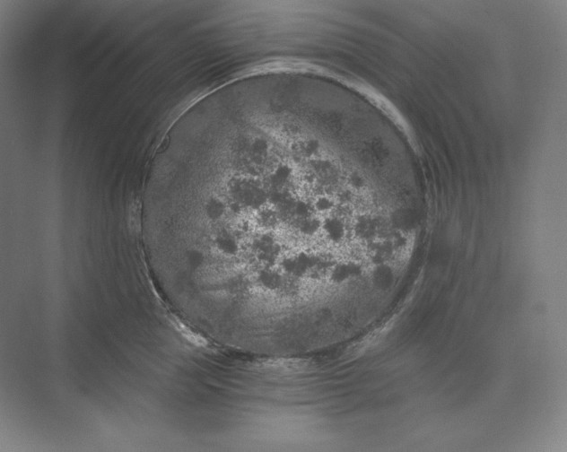 X0000074000953200609061020