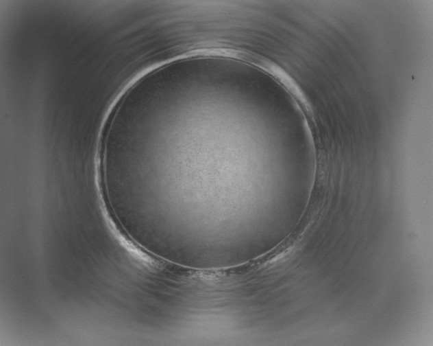 X0000074000955200609061020