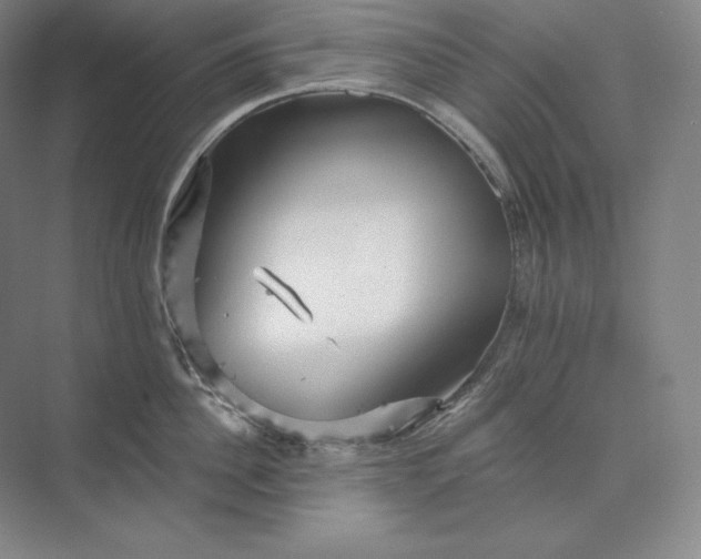 X0000074000956200609061020