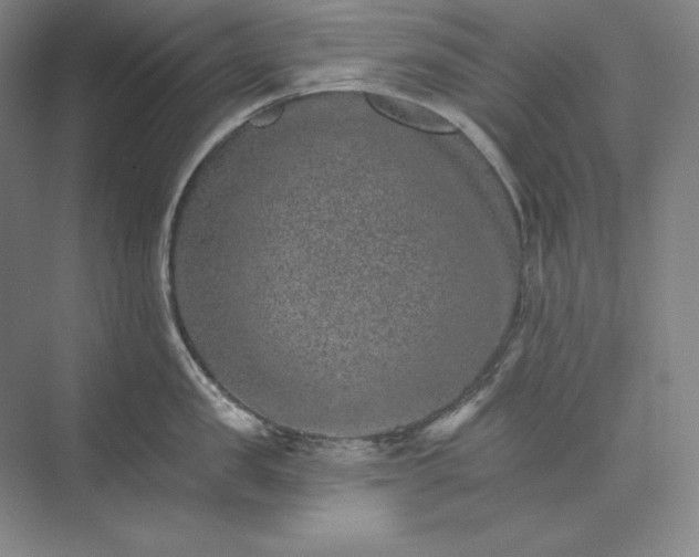 X0000074000957200609061020