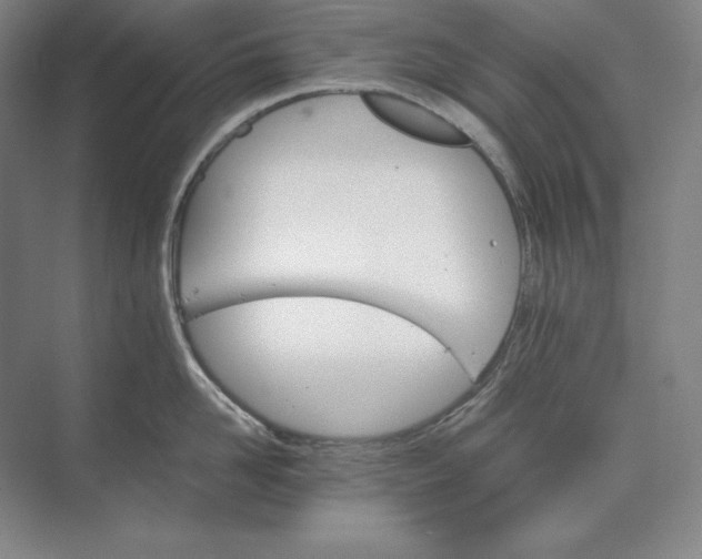 X0000074000958200609061020