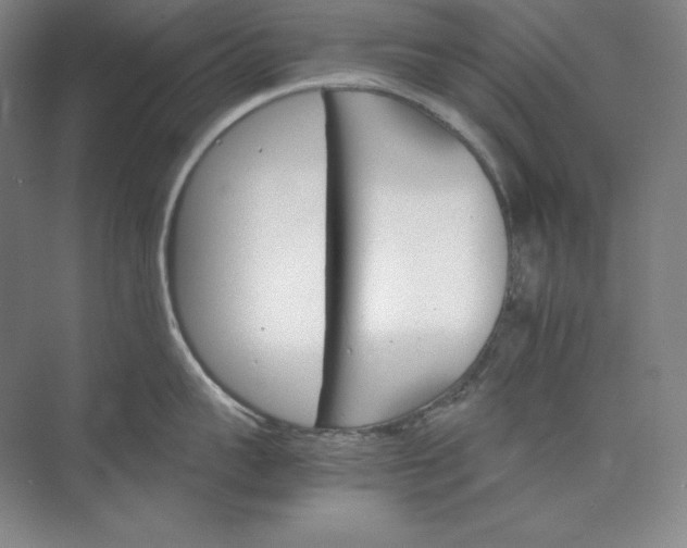 X0000074000959200609061020