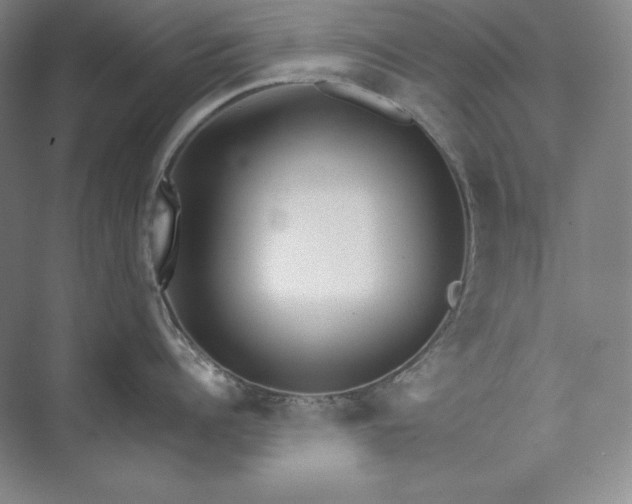 X0000074000960200609061020