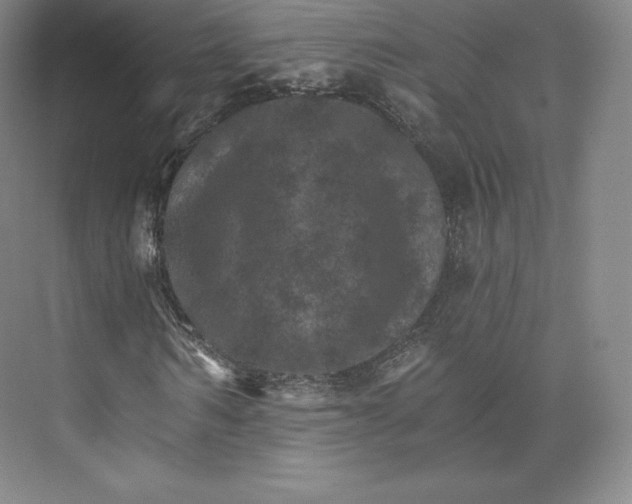 X0000074000962200609061019