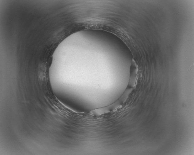 X0000074000964200609061019