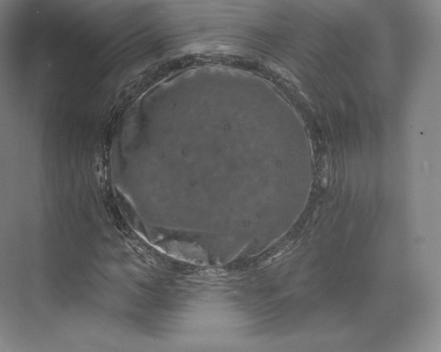 X0000074000966200609061019