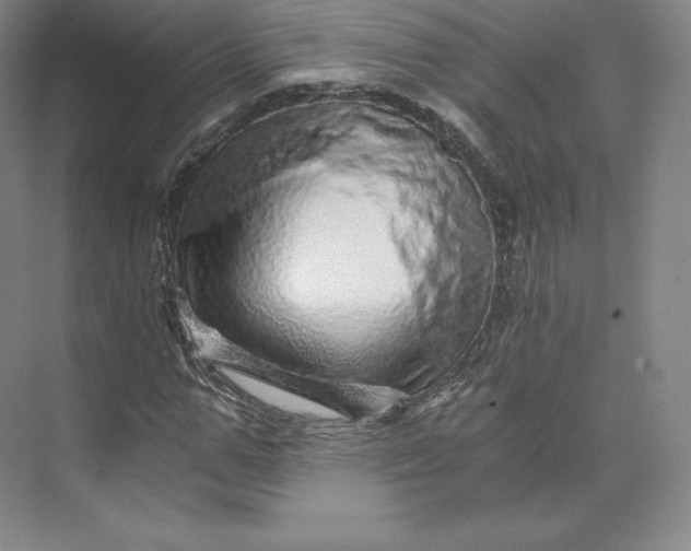 X0000074000967200609061019