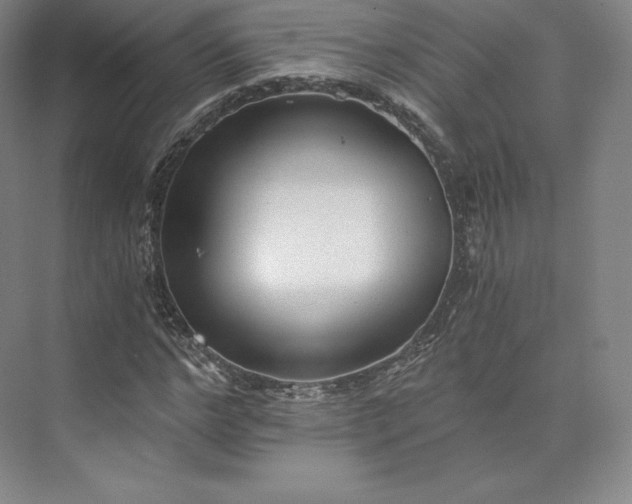 X0000074000968200609061019