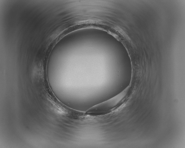 X0000074000969200609061019