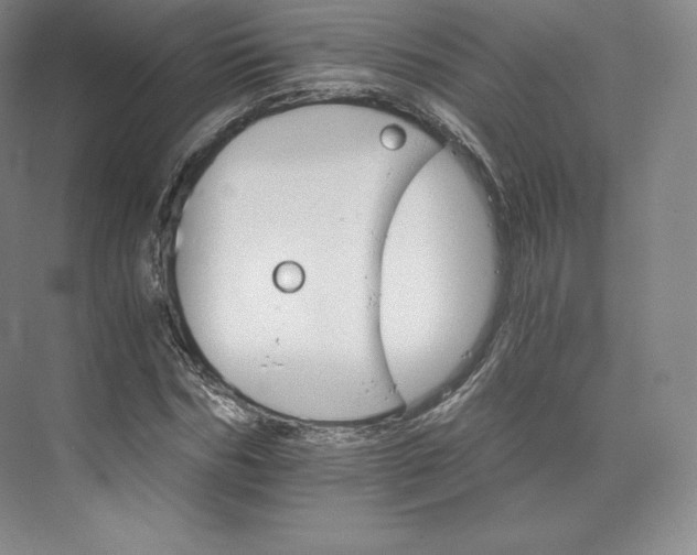 X0000074000970200609061019