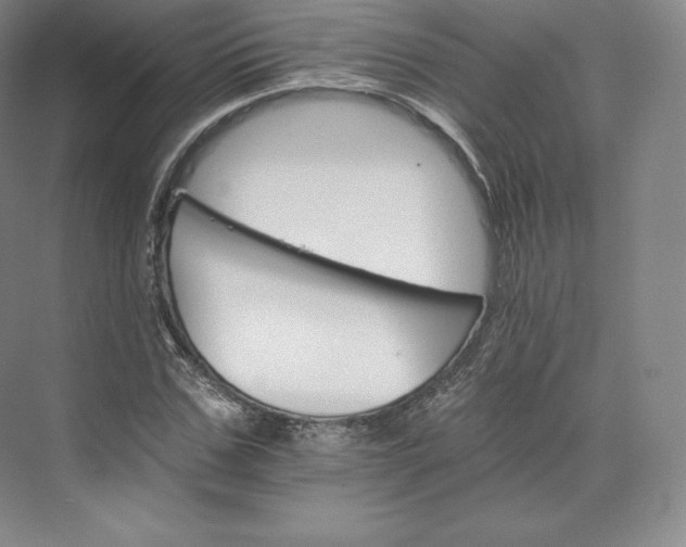 X0000074000971200609061019