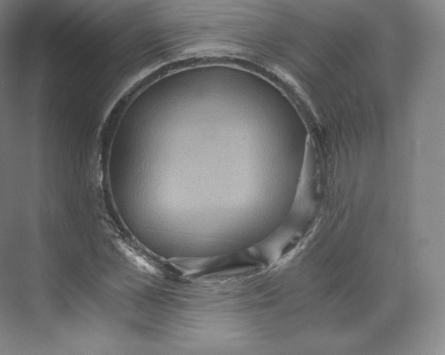 X0000074000973200609061019